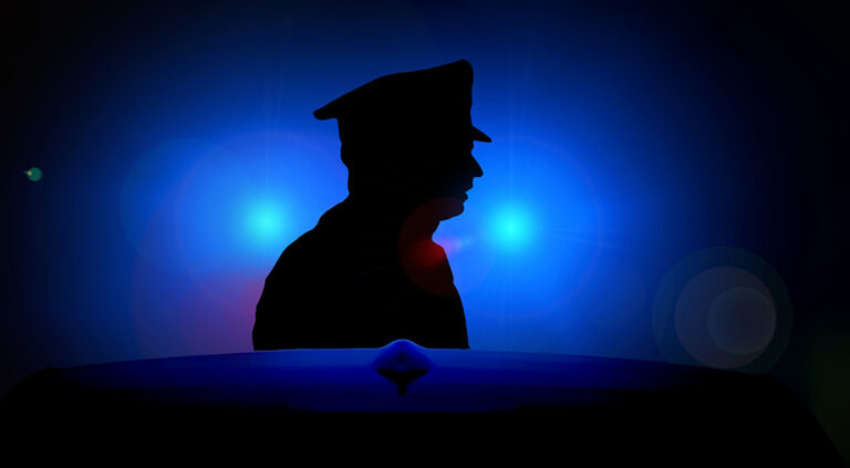 Virginia traffic car search